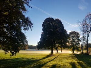 Englischer Garten 2 (c) MBoesker