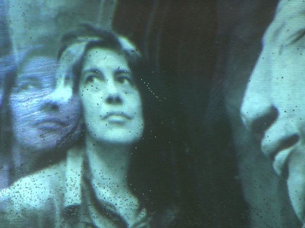 NEWS Regarding Susan Sontag